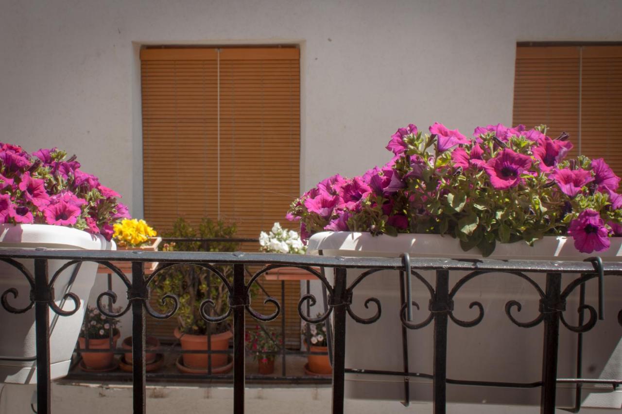 Casa Amparo - Alquiler Integro Con Encanto En Alicante Alcoleja Kültér fotó